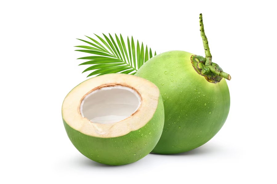 Unveiling the Tender Coconut Finest Suppliers and Distributors